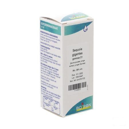 Sequoia Gigantea Gemmo D1 60 ml  -  Boiron