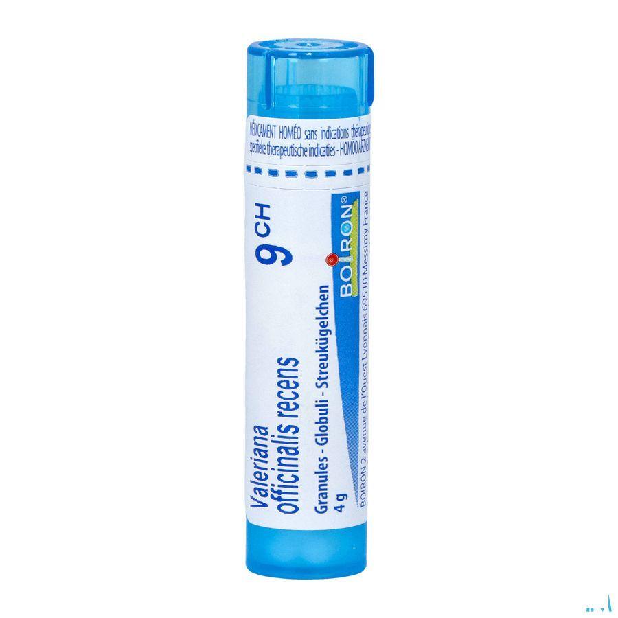 Valeriana Officinalis 9CH Gr 4g  -  Boiron