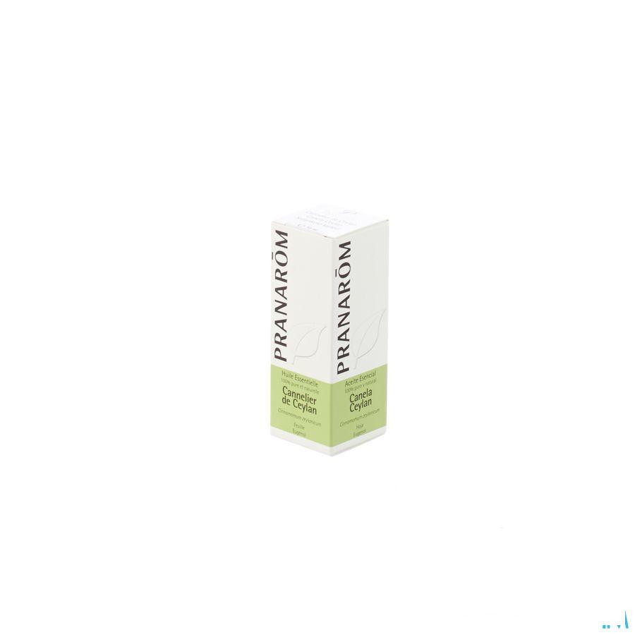 Kaneel Ceylan Blad Essentiele Olie 10 ml  -  Pranarom