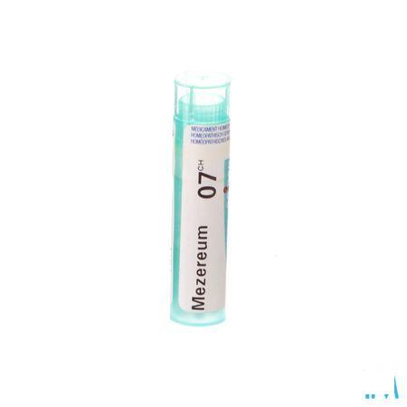 Mezereum 7CH Gr 4g  -  Boiron