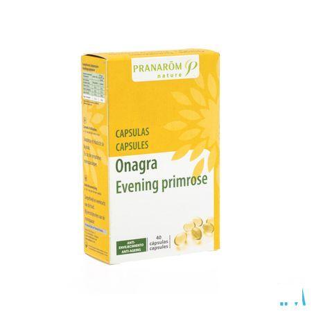 Teunisbloem Capsule 40  -  Pranarom