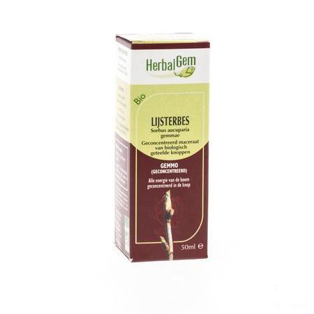 Herbalgem Lijsterbes Maceraat 50 ml  -  Herbalgem