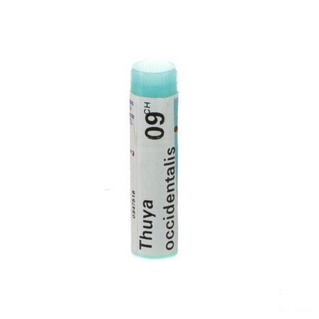 Thuya Occidentalis 9CH Gl  -  Boiron
