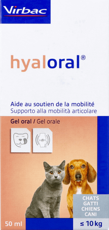 Hyaloral 50 ml
