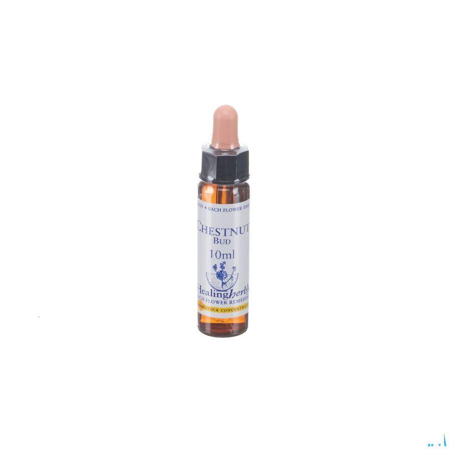 Healing Herbs Chestnut Bud 10 ml