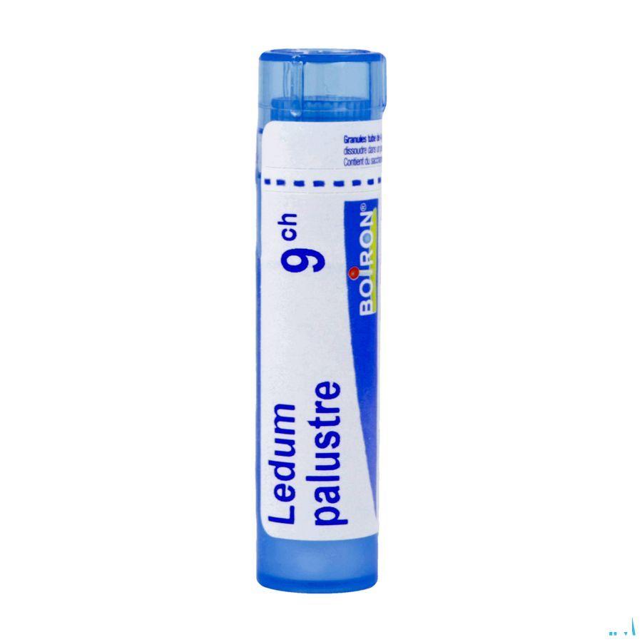 Ledum Palustre 9CH Gr 4g  -  Boiron