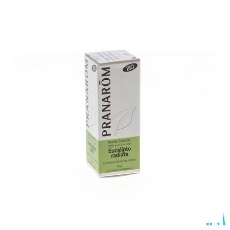 Eucalyptus Radie Bio Essentiele Olie 10 ml  -  Pranarom