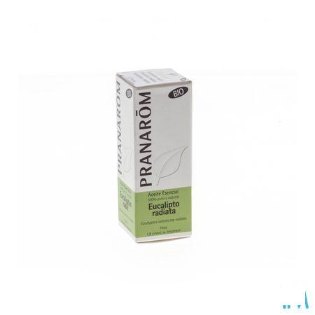 Eucalyptus Radiata Bio Huile Essentielle 10 ml  -  Pranarom