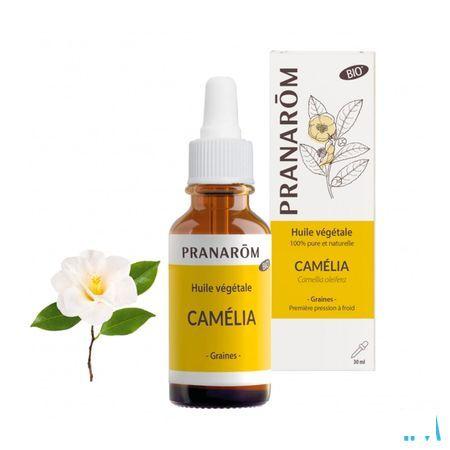 Pranarom Huiles Vegetales Camelia Bio 30 ml  -  Pranarom