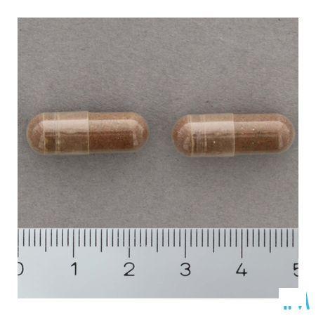 Glucoril 120 Capsule   -  Nutrisan
