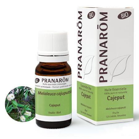 Cajeput Bio Essentiele Olie 10 ml  -  Pranarom