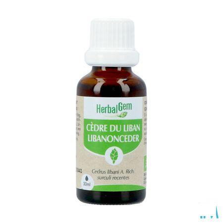 Herbalgem Cedre Bio 30 ml