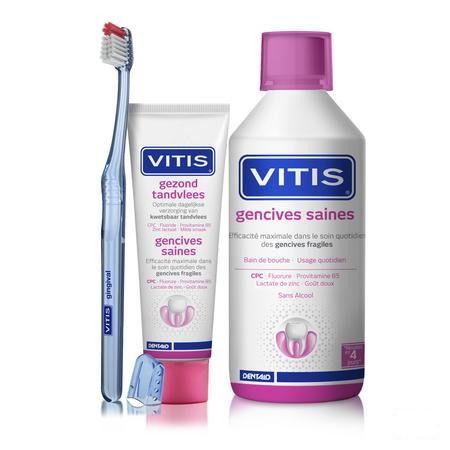 Vitis Gencives Saines Dentifrice 31414  -  Dentaid