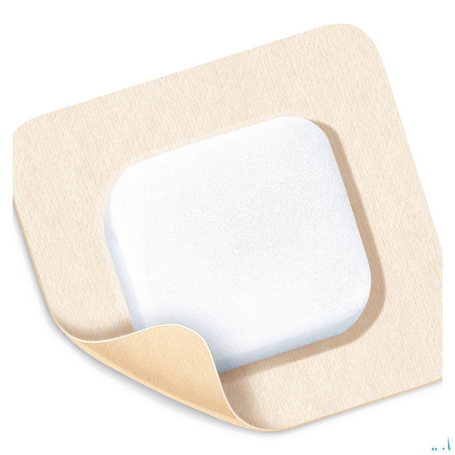 Permafoam Classic Border Conc.16,5X18Cm 10 8820090  -  Hartmann