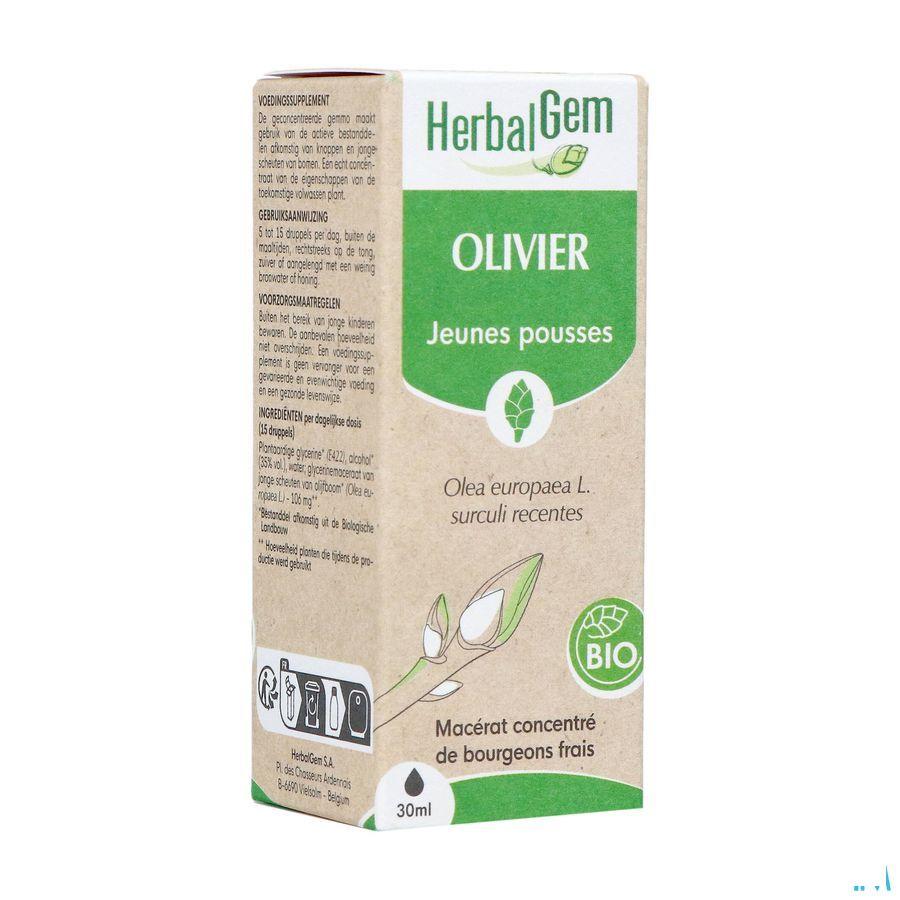 Herbalgem Olijfboom Bio 30 ml