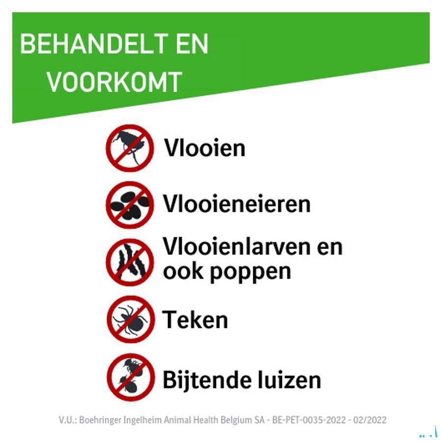 Frontline Combo Line Dog S 2-10kg 6x0,67ml