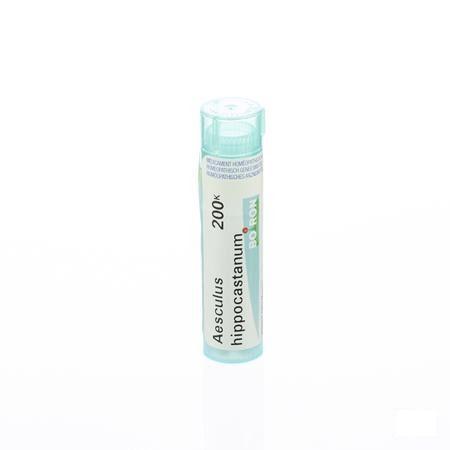 Aesculus Hippocastanum 200K Gr 4g  -  Boiron