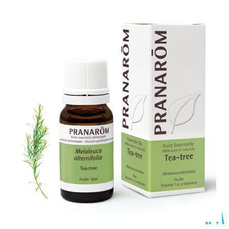 Tea Tree Essentiele Olie 10 ml  -  Pranarom