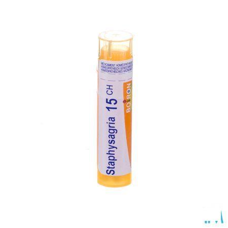Staphysagria 15CH Gr 4g  -  Boiron