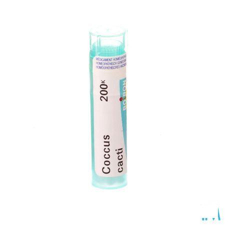Coccus Cacti 200K Gr 4g  -  Boiron