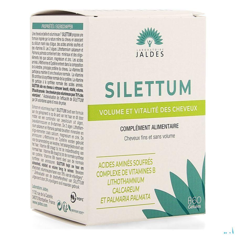 Silettum Gel 60