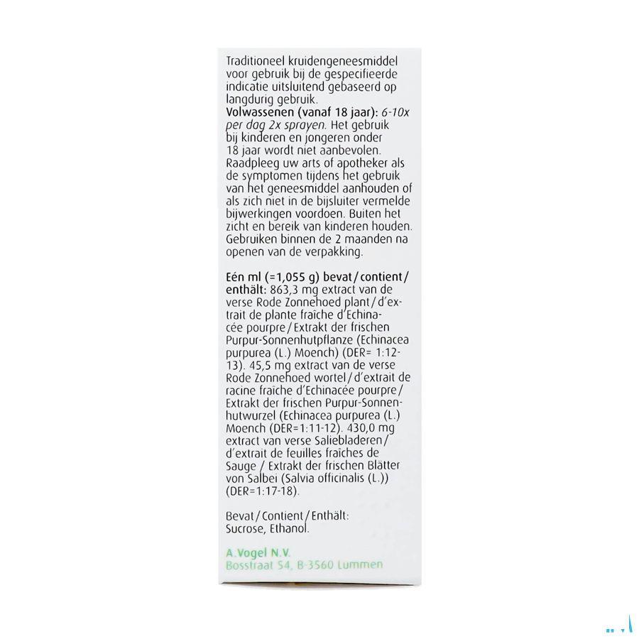 A.Vogel Echinaforcemed Spray Gorge 30 ml  -  A.Vogel