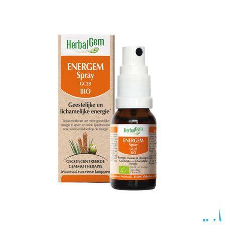 Herbalgem Energem Spray Gc28 Bio Compl. Energ.10 ml  -  Herbalgem