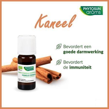 Phytosun Kaneel Fr-bio-01 5 ml