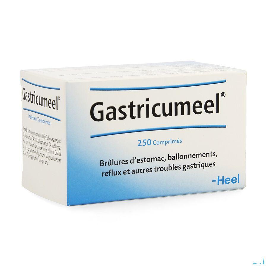 Gastricumeel Comprimes 250  -  Heel