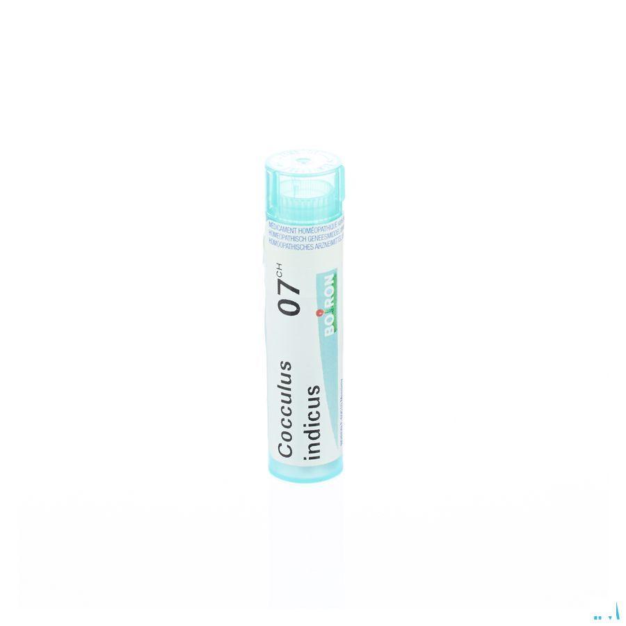 Cocculus Indicus 7CH Gr 4g  -  Boiron