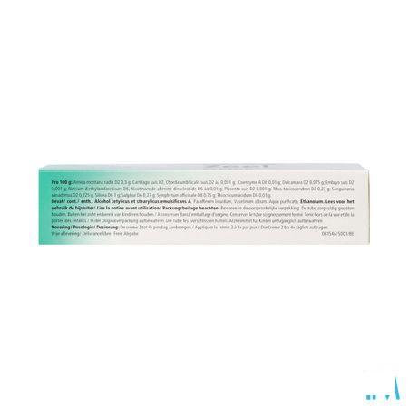 Zeel Creme 100 gr  -  Heel
