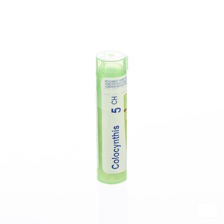 Colocynthis 5CH Gr 4g  -  Boiron