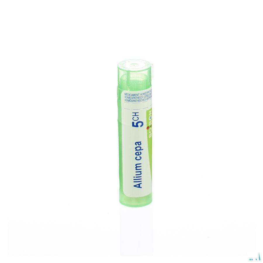 Allium Cepa 5CH Gr 4g  -  Boiron