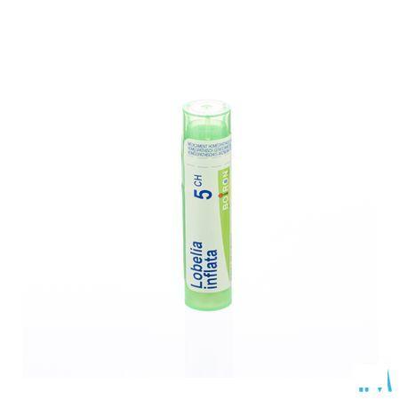 Lobelia Inflata 5CH Gr 4g  -  Boiron
