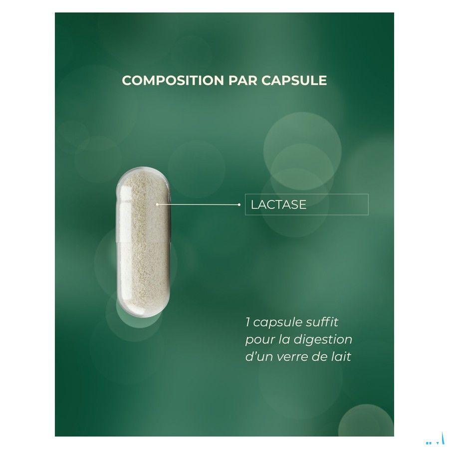 Lactose Ok Capsule 75x353 mg 5744  -  Revogan