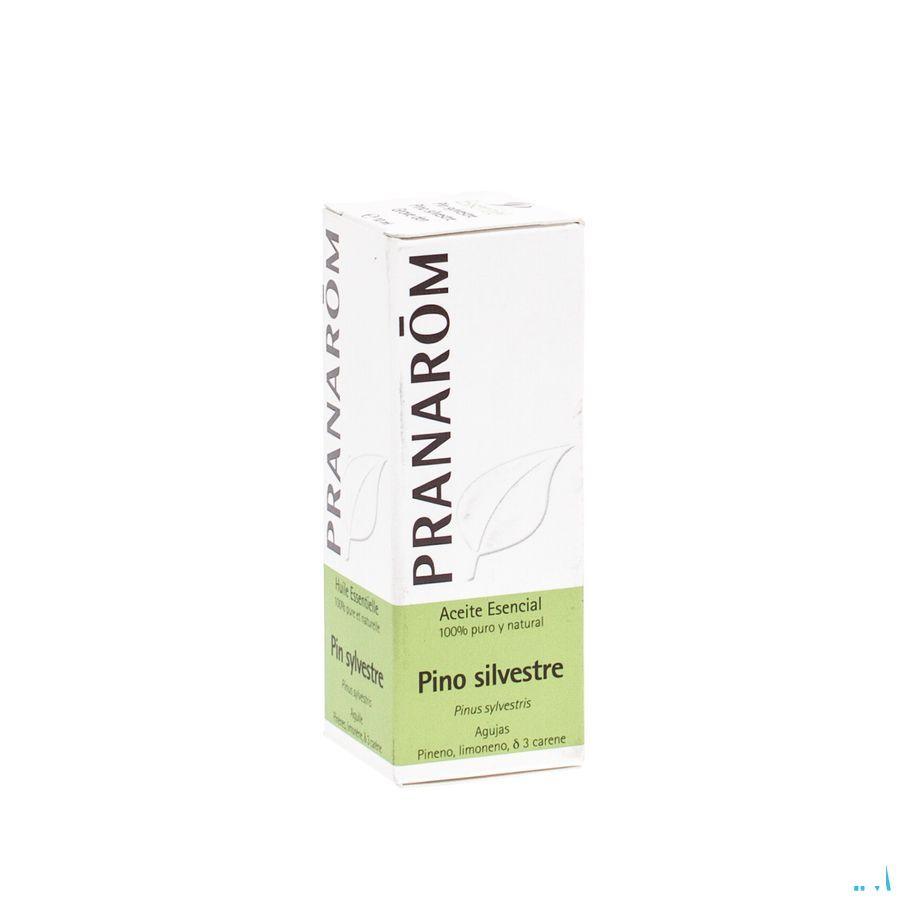 Pin Sylvestre Huile Essentielle 10 ml  -  Pranarom