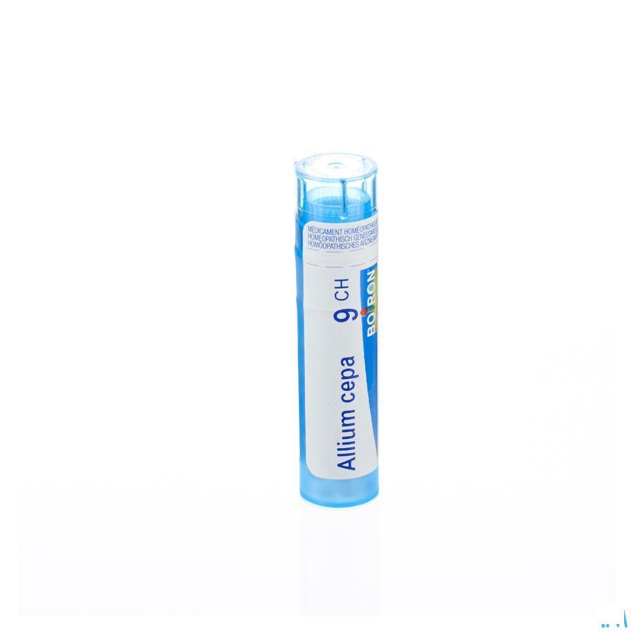 Allium Cepa 9CH Gr 4g  -  Boiron