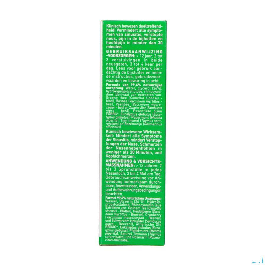 Puressentiel Respi Sinus E x pres.Spray Nas.Bio 15 ml