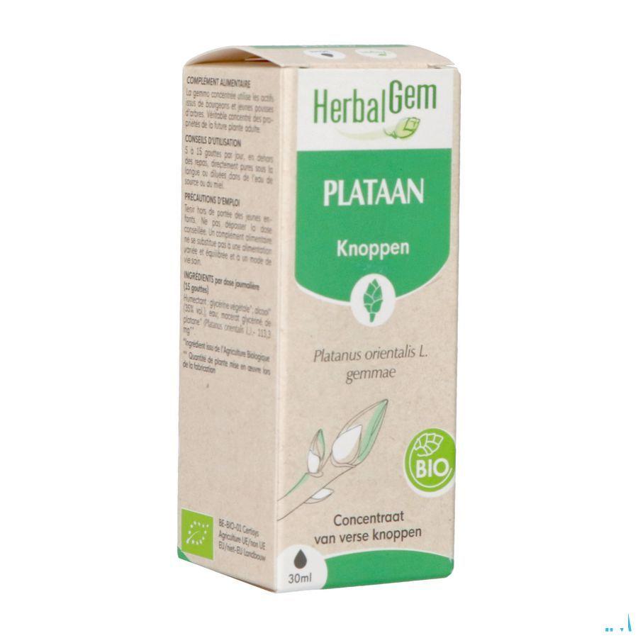 Herbalgem Platane Bio 30 ml