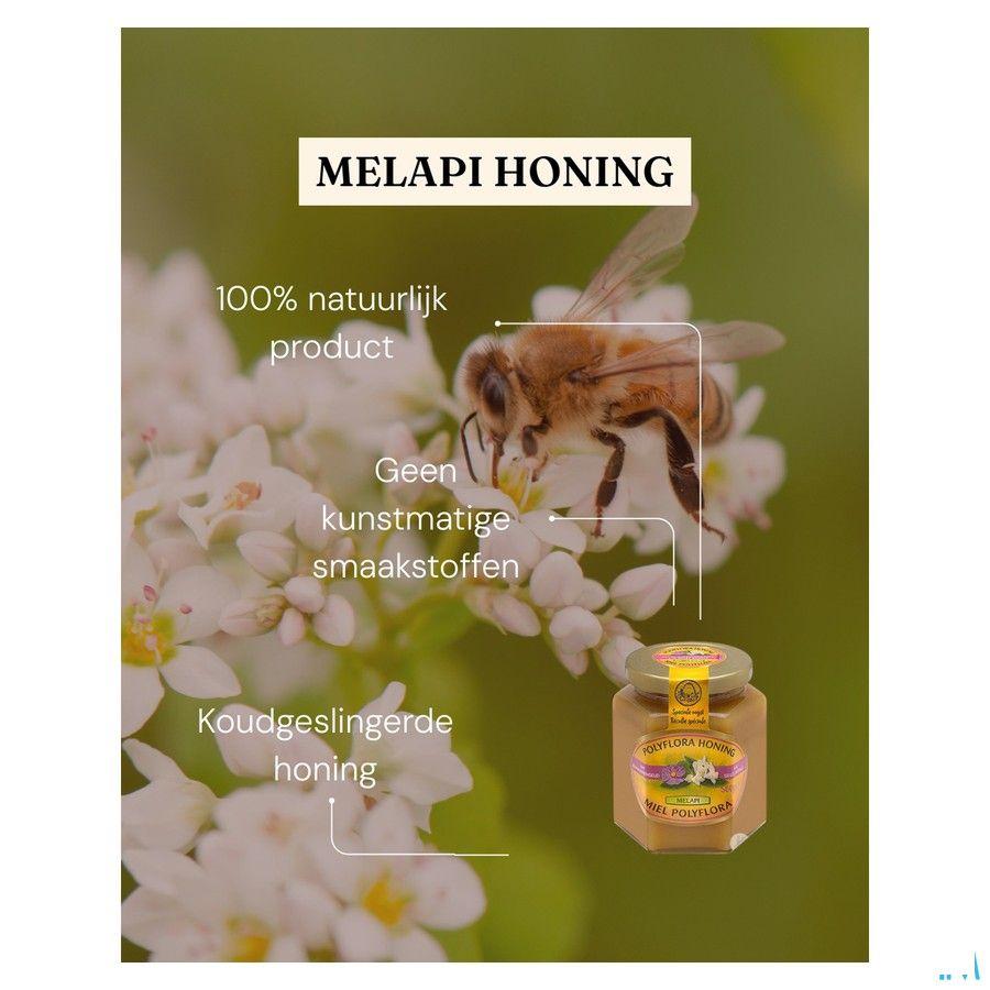 Melapi Polyflora + gelee Royale 500 gr 5534  -  Revogan