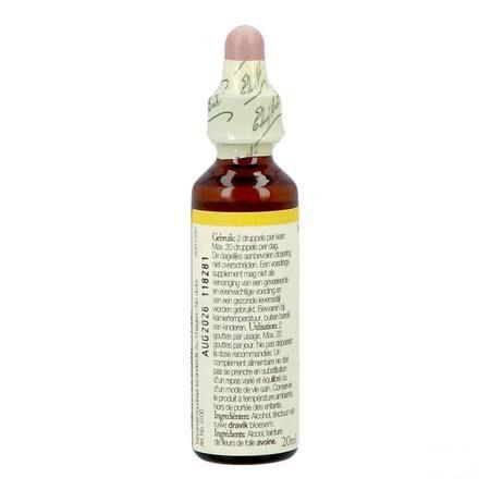 Bach Flower Remedie 36 Wild Oat 20 ml