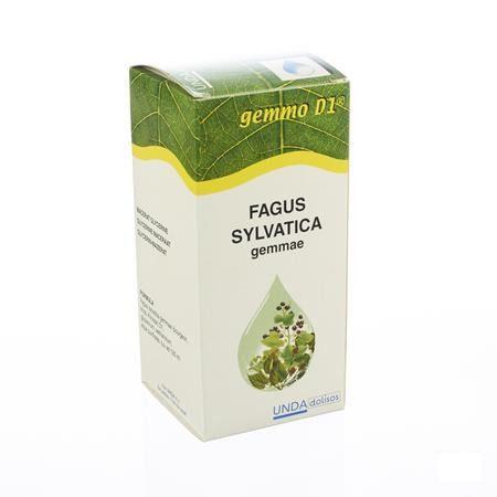 Fagus Sylvatica Gemmo D1 125 ml  -  Boiron