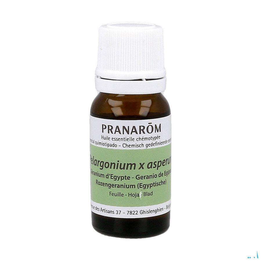 Geranium Egypte Huile Essentielle 10 ml  -  Pranarom