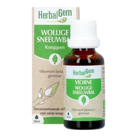 Herbalgem Viorne Bio 30 ml