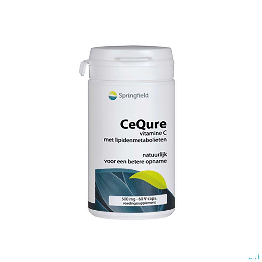 Cequre Pot Capsule 60  -  Springfield Nutraceuticals
