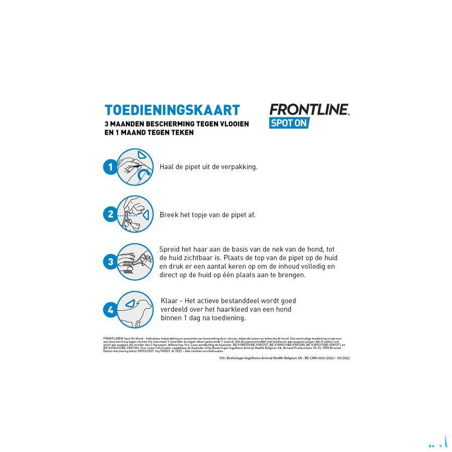 Frontline Spot On Hond 20-40kg et 3x2,68ml