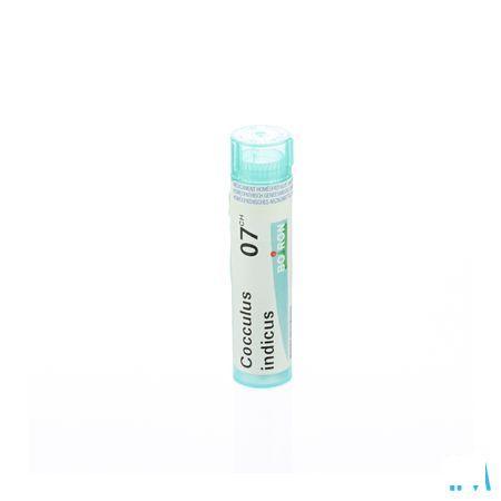 Cocculus Indicus 7CH Gr 4g  -  Boiron
