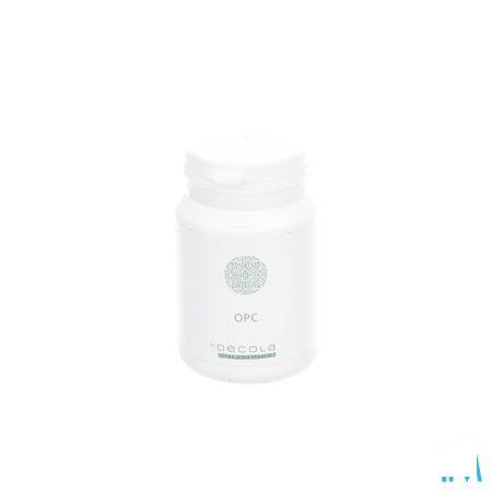 Opc Gel 60  -  Decola