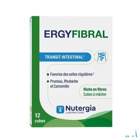 Ergyfibral Blokje 12  -  Laboratoire Nutergia