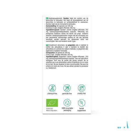 Purasana Vegan Gember V-Caps 60